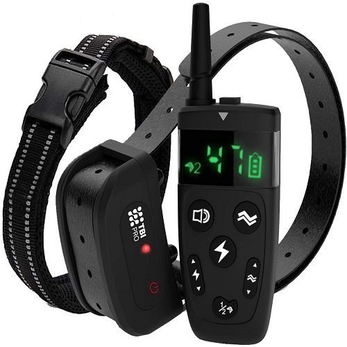 top rated shock collars