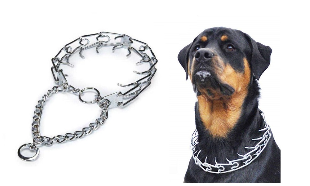 prong for dogs