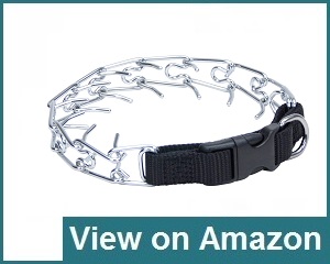 dog pinch collar reviews