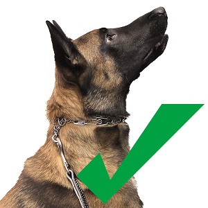 best pinch collar for german shepherd