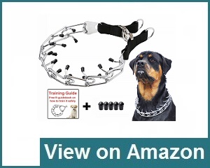 dog training pinch collars reviews