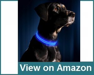 Illumiseen Usb Rechargeable Collar Review