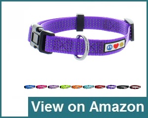 Pawtitas Dog Collar Review