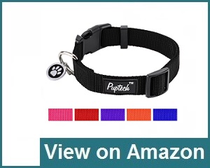 Pupteck Basic Nylon Collar Review