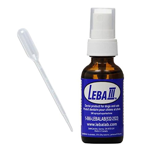 Leba III Dental Spray Review