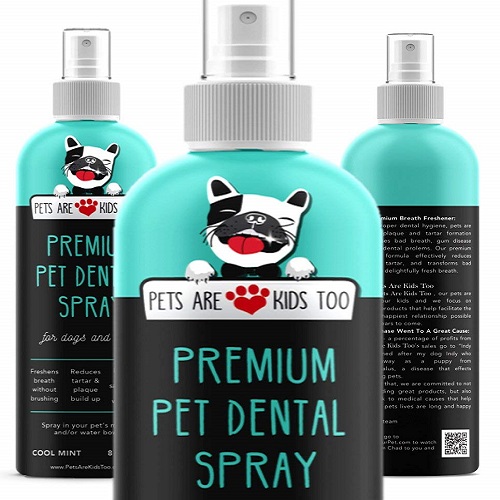 10 Best Dog Dental Spray (Nov. 2020 