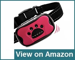 DogRook Bark Collar Review