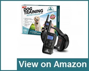 Pet tech training collar hot sale pt0z1