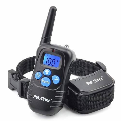 Petrainer PET998DRB1 Rechargeable Collar Review