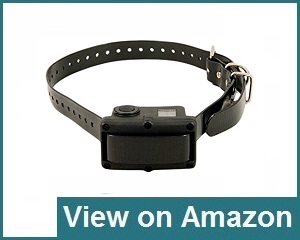 SportDog Bark Collar Review