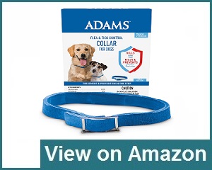 Adams Review