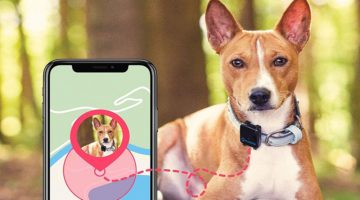 Best GPS Dog Trackers