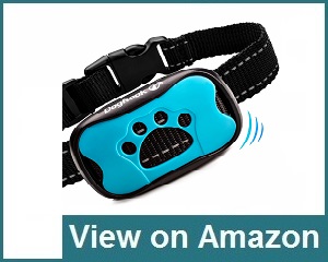 DogRook Dog Bark Collar Review