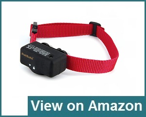 PetSafe Basic Control Collar Review