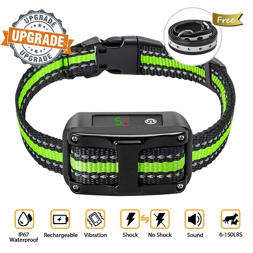 PetYeah Dog Bark Collar Review