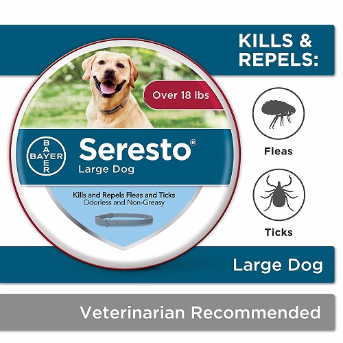 Seresto Dog Flea Collar Review