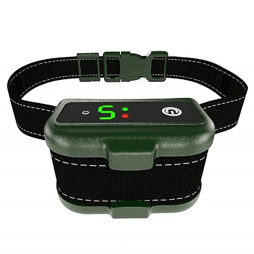 TBI Pro Bark Collar Review