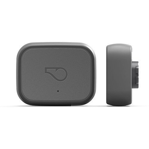 Whistle 3 GPS Pet Tracker Review