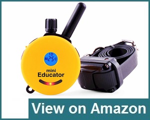 Educator E-Collar Review