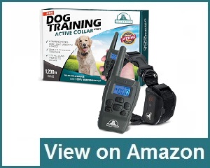 Pet Union PT0Z1 Premium Review