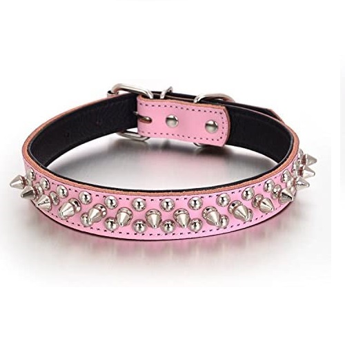 Best Spiked Dog Collars 2024 – Detailed Overview with Top Pick – Pet ...