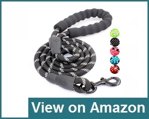 Baapet 5 FT Collar Review