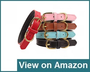 Aolove Basic Collar Review
