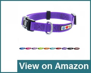 10 Best Reflective Dog Collars (May. 2023) – Buyer’s Guide