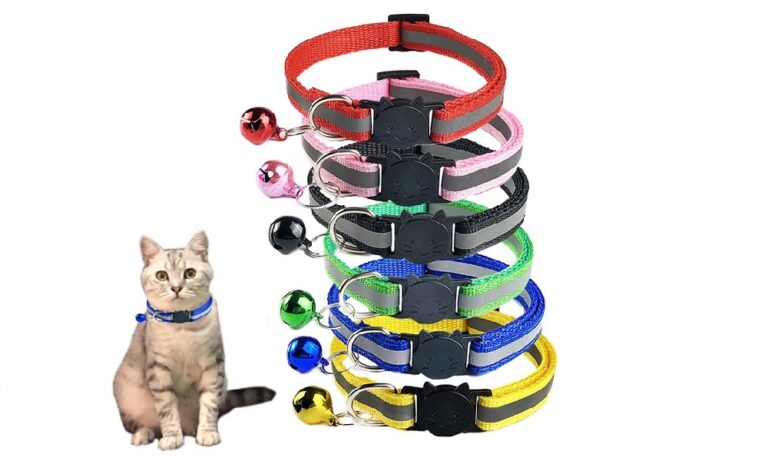 Best Cat Collars 2024 – Safe, Cute, and Comfy
