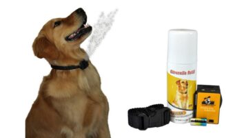 Best Citronella Dog Bark Collar