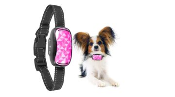 Best Vibrating Dog Collar