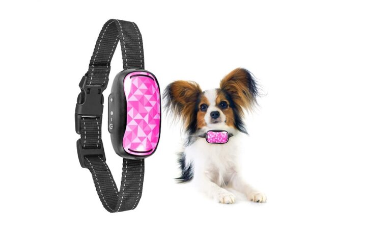 Best Vibrating Dog Collars 2024 – Tested & Ranked