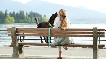 Best Wide Dog Collars
