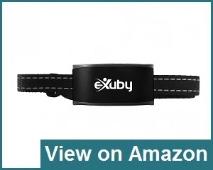Exuby Collar Review