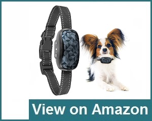 GoodBoy Small Collar Review