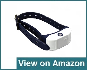 JK Tech Collar Review