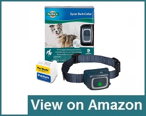 PetSafe Dog Collar Review