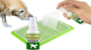 Best Dog Poop Training Spray