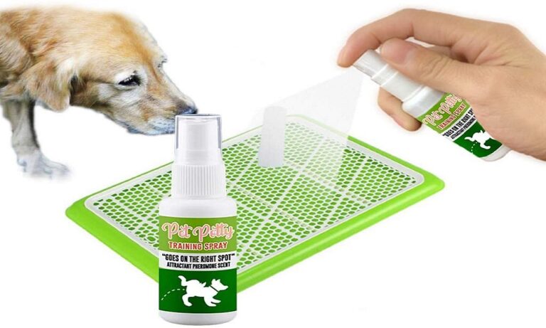 Best Dog Poop Training Sprays 2024 with Attractive Scent