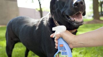 Best Flea Spray for Dogs