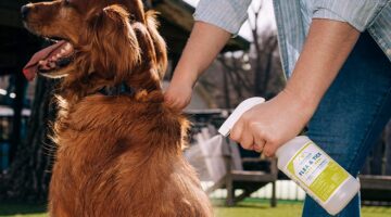 Best Tick Spray for Dogs
