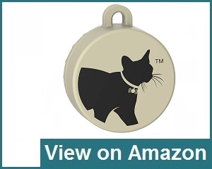 Cat Tailer Review