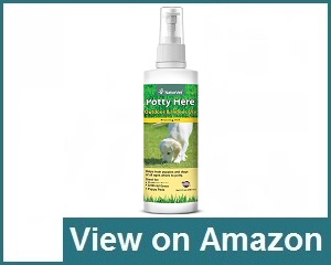 Pooch Pads Spray Review