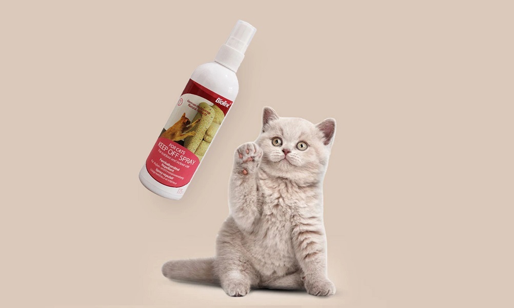 Best Cat Deterrent Sprays