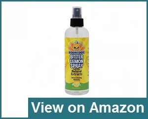 Bodhi Dog Spray Review