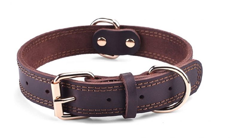 How to Make a Leather Dog Collar On Your Own