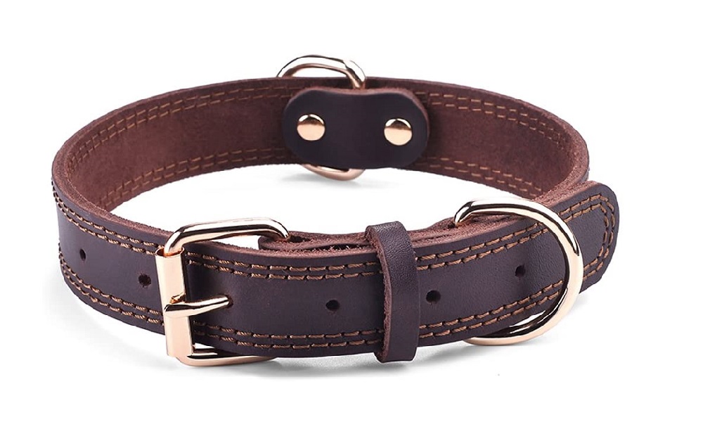 DIY leather dog collar