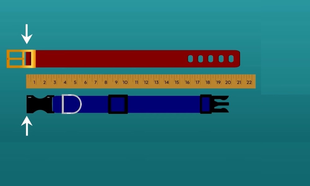 Find the Ideal Width for the Strap