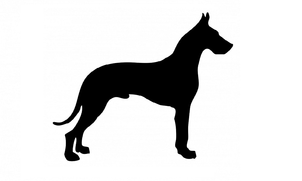 Black Great Dane Dog Names