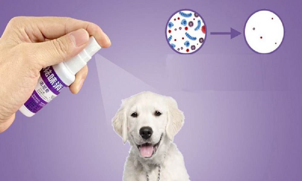 how to make dog deodorant spray